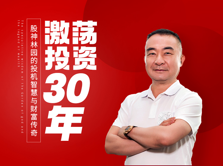 激荡投资30年：股神林园的投机智慧与财富传奇