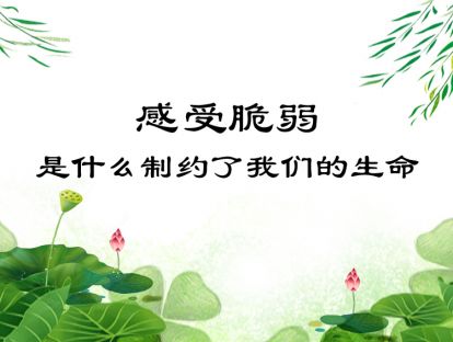 05-感受脆弱：是什么制约了我们的生命？