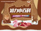 吸血蝠：夜空中的“吸血鬼”!