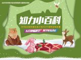 小鸟们的家都在哪儿呢？