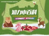 大雁与伯劳：秋天里的旅行者!