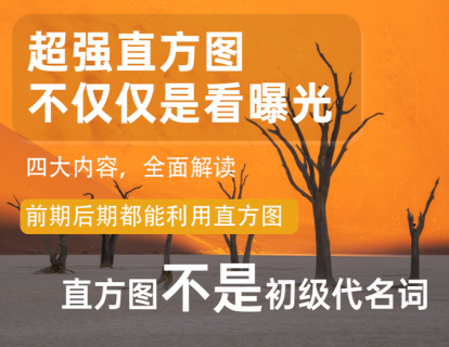 初学者才看直方图？非也！超强直方图讲解，改变传统观念！