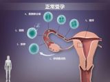受孕的三个时期