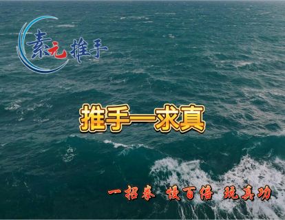 10.推手·求真