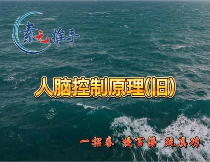 02.人脑控制原理（旧）