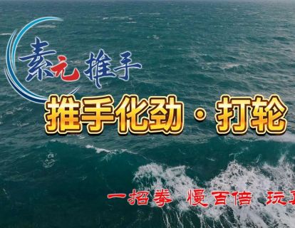 23.推手化劲·打轮