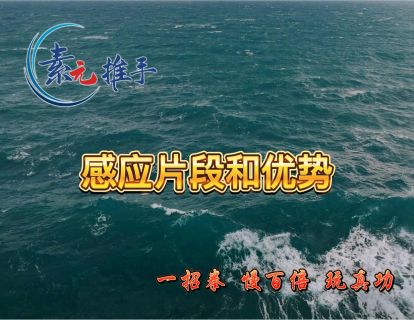 06.感应片段和优势