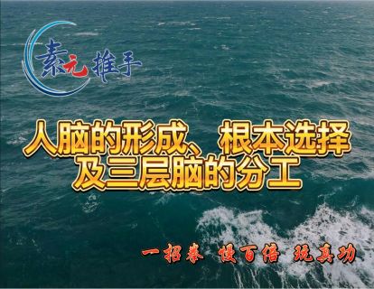 04.人脑的形成、根本选择及三层脑的分工