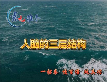 03.人脑的三层结构
