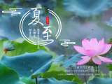 夏至：一阴生夏至，雅赏碧螺春