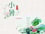 小暑：蝉声响小暑，绿茶最养心