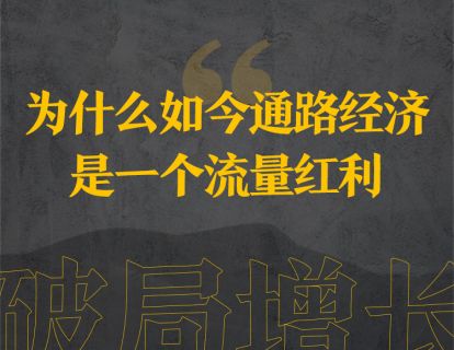 11、为什么如今通路经济是一个流量红利