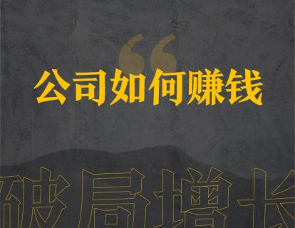 6、公司如何赚钱