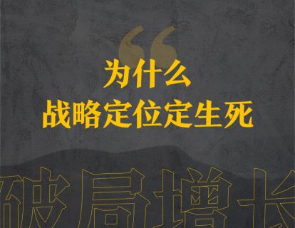 15、为什么战略定位定生死