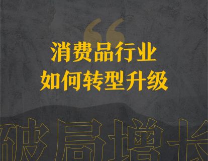 18、消费品行业如何转型升级