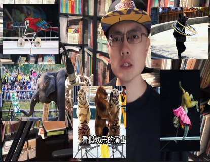 秋季精选14-动物表演是娱乐还是伤害？(3星)