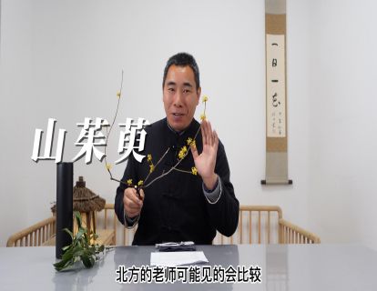 No.123 山茱萸