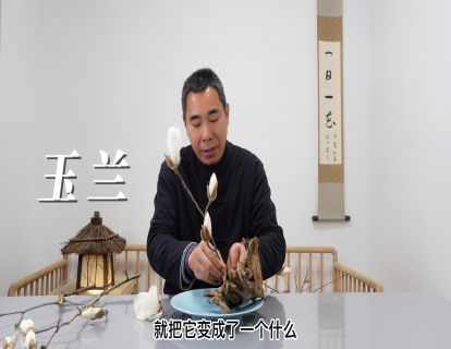 No.122 玉兰