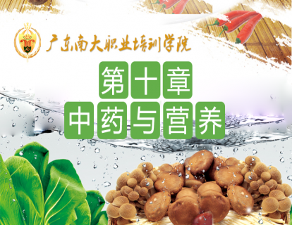 第十章 中药与营养