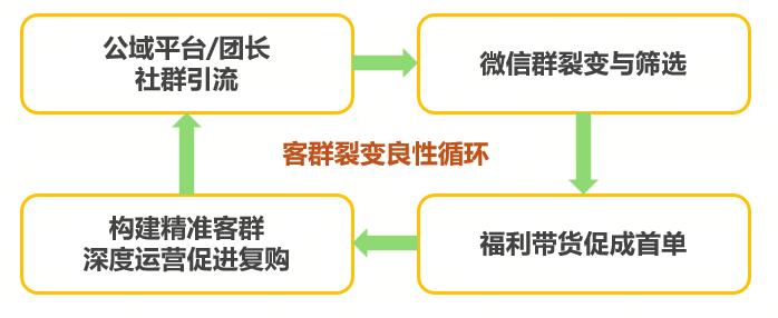 破局私域带货！小鹅通云店模式解决方案