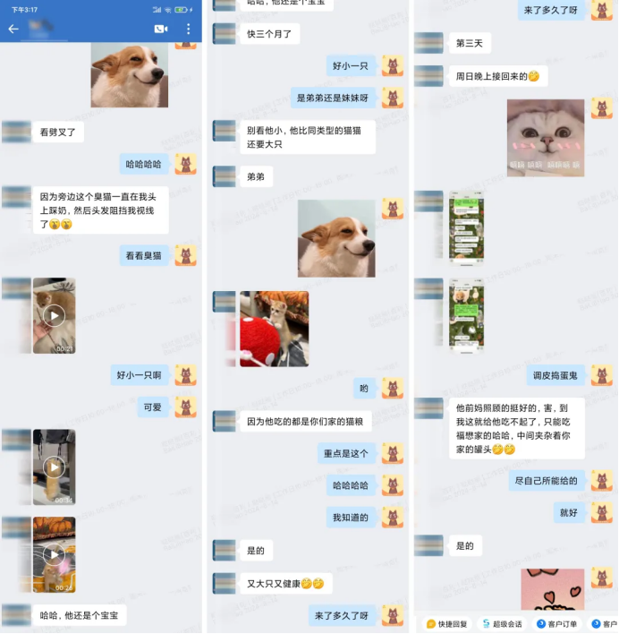 .png 年多卖了2千万:宠物私域的好复购靠这4个洞察"/