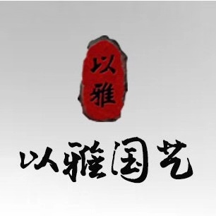 书法——隶书基础（8次课）