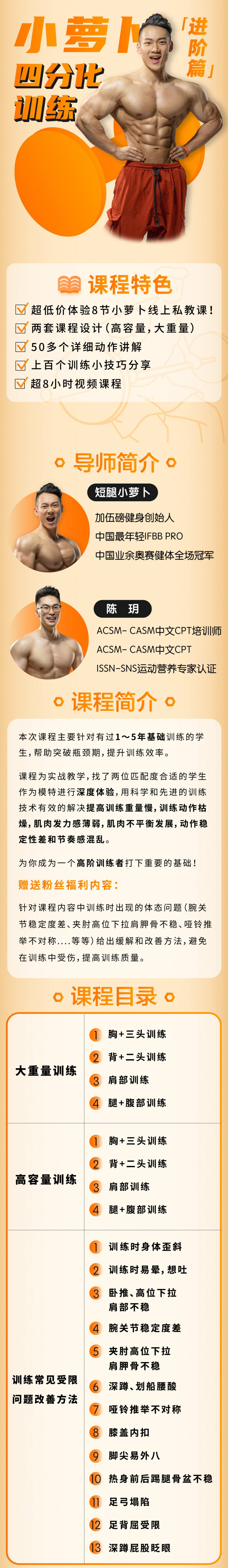 小萝卜四分化训练（进阶版）