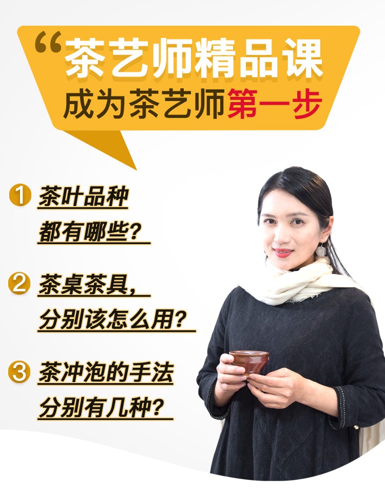 国家茶艺技师精品茶艺培训视频教程