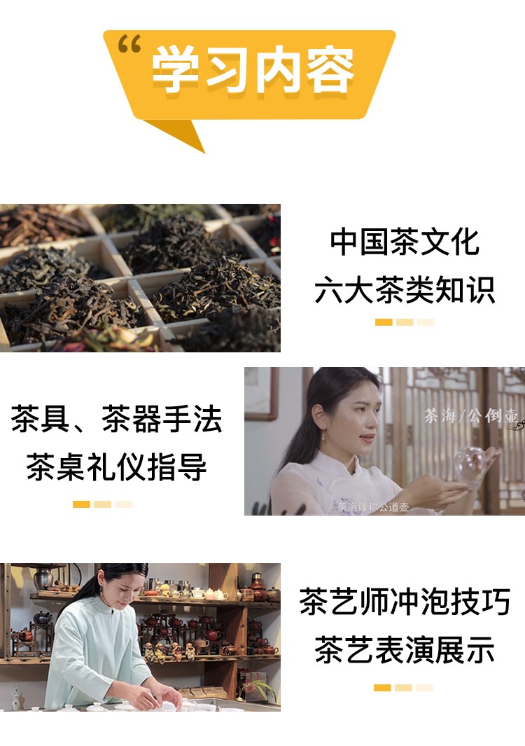 国家茶艺技师精品茶艺培训视频教程