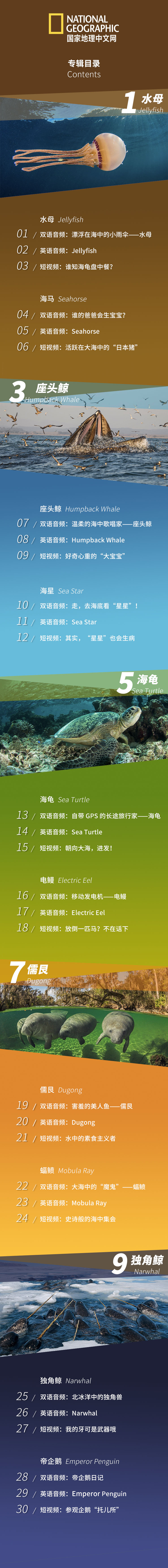 国家地理：小探险家双语百科之海洋探秘