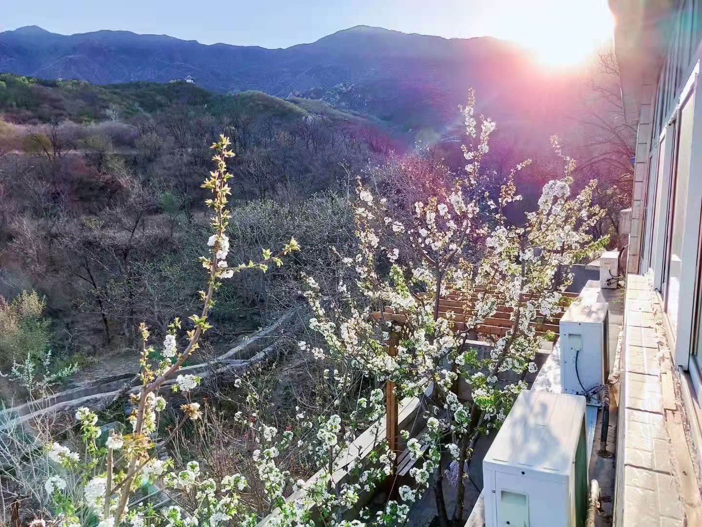 终极觉悟