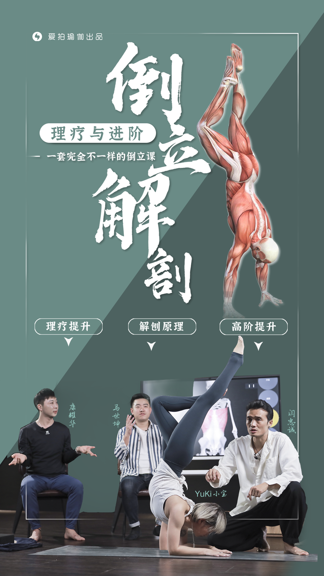 倒立解剖理疗与进阶,一套完全不一样的倒立课,忠诚瑜伽出品