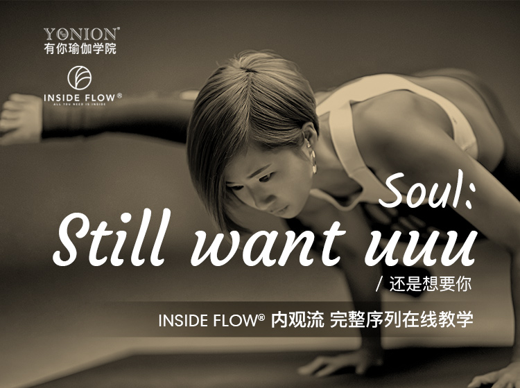 有课：InsideFlow内观流 Soul力量三部曲