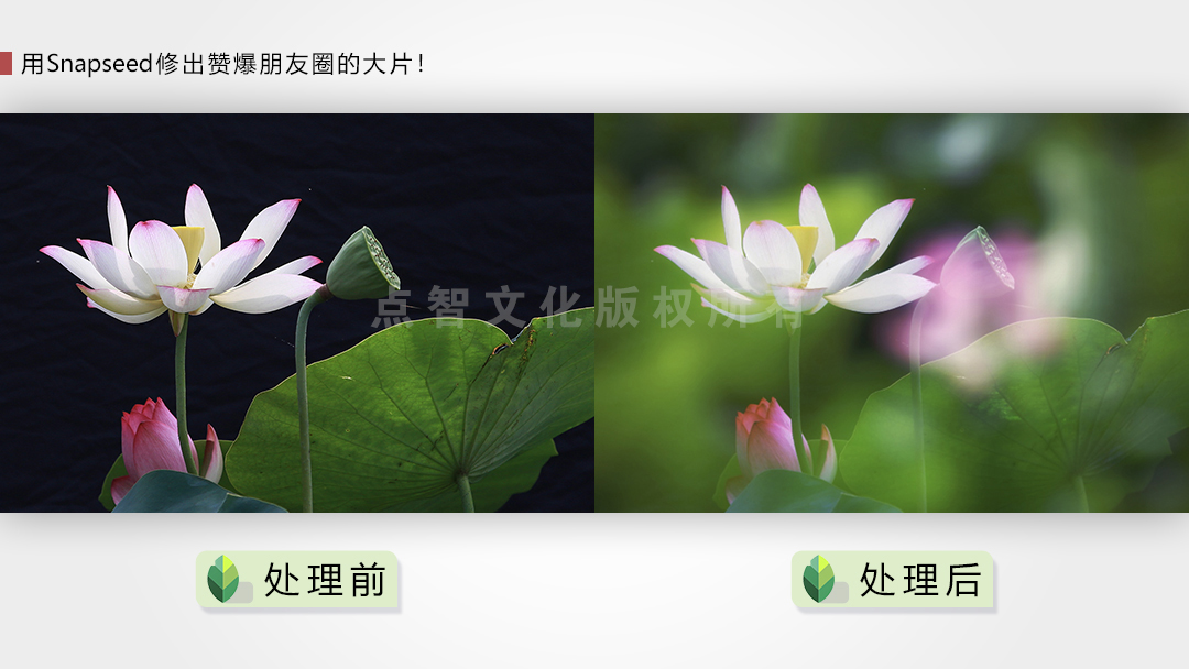 用Snapseed修出赞爆朋友圈的手机摄影大片