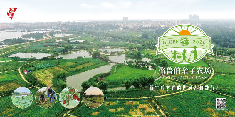 田野音乐会(图38)