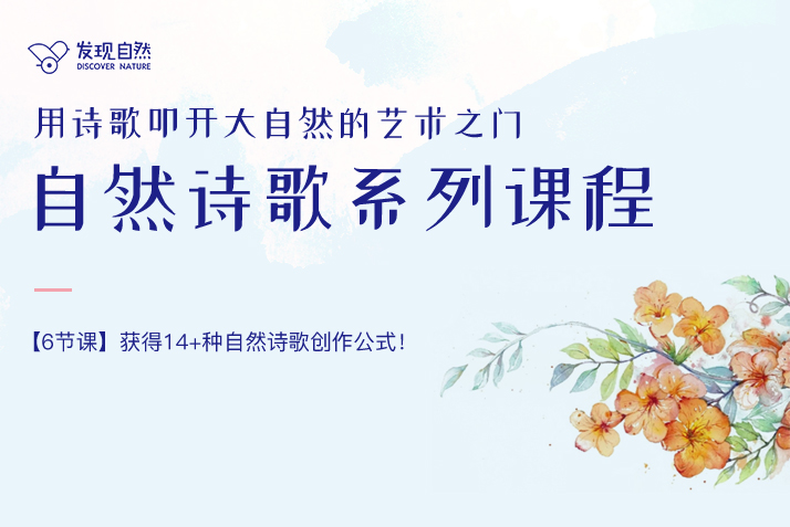 自然诗歌系列课程