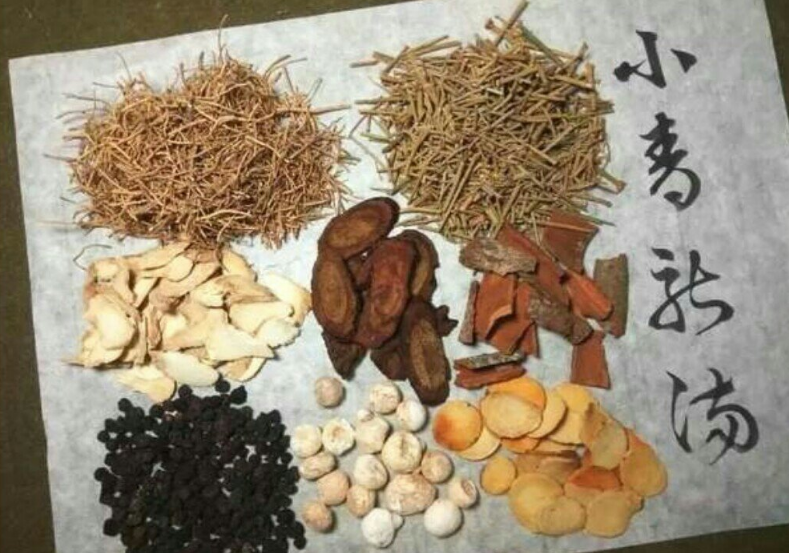 中医辨证 一学就懂