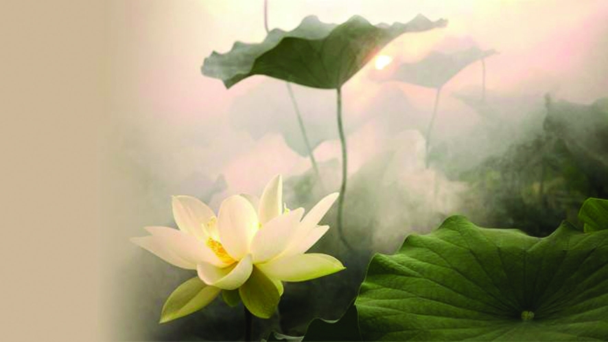 《正念此刻一枝花》精读分享