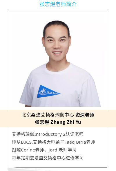 艾扬格基础课专辑