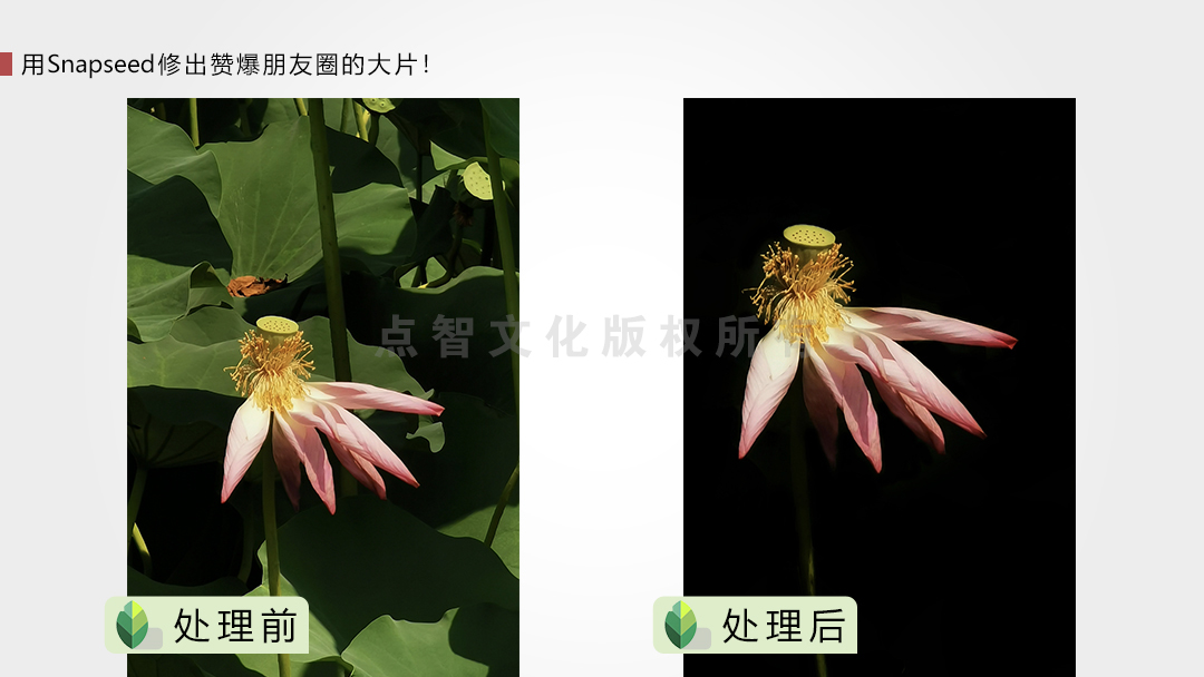 用Snapseed修出赞爆朋友圈的手机摄影大片
