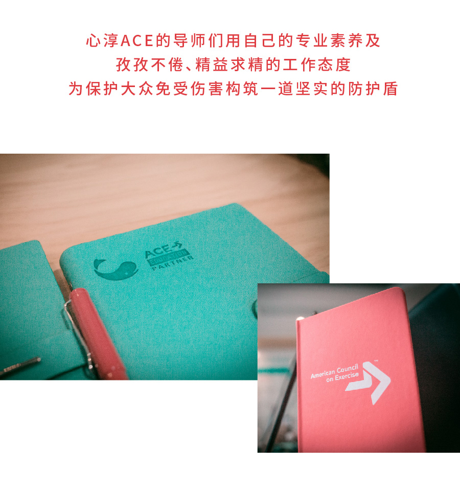 心淳ACE-CPT全阶段云课程