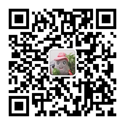 螺丝妹.jpg
