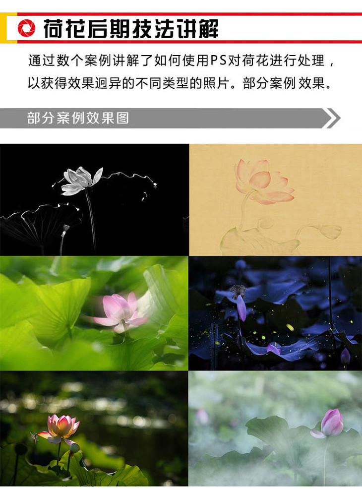 索尼A6400相机摄影、摄影理论及后期技法从入门到精通
