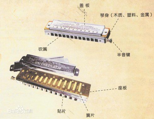 跟我学口琴-木木老师30天口琴速成课！