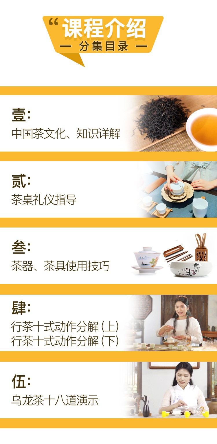 国家茶艺技师精品茶艺培训视频教程
