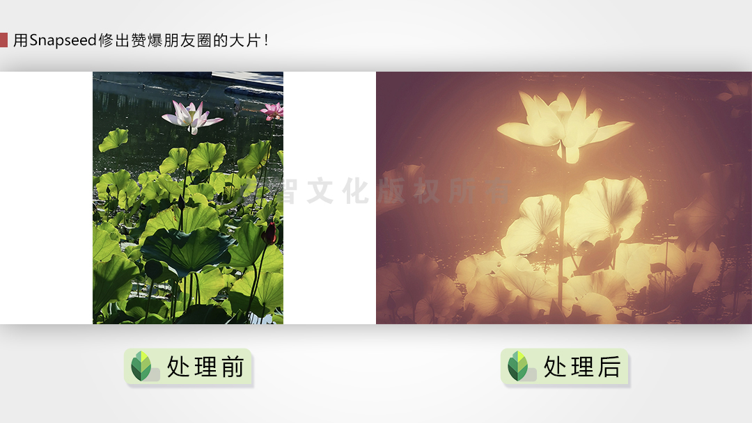 用Snapseed修出赞爆朋友圈的手机摄影大片