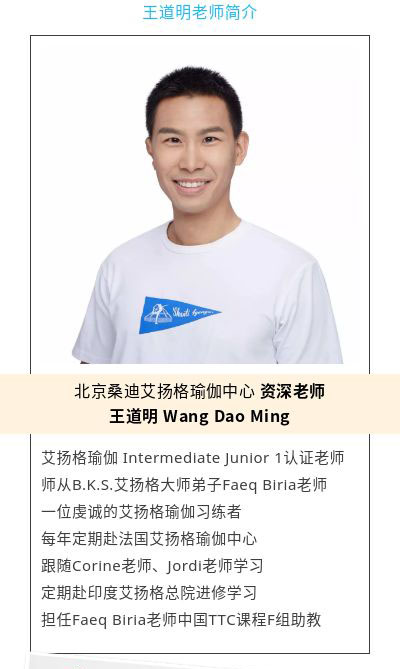 艾扬格基础课专辑