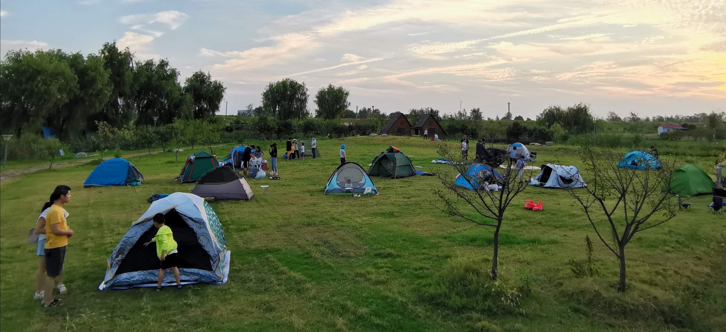 田野音乐会(图8)