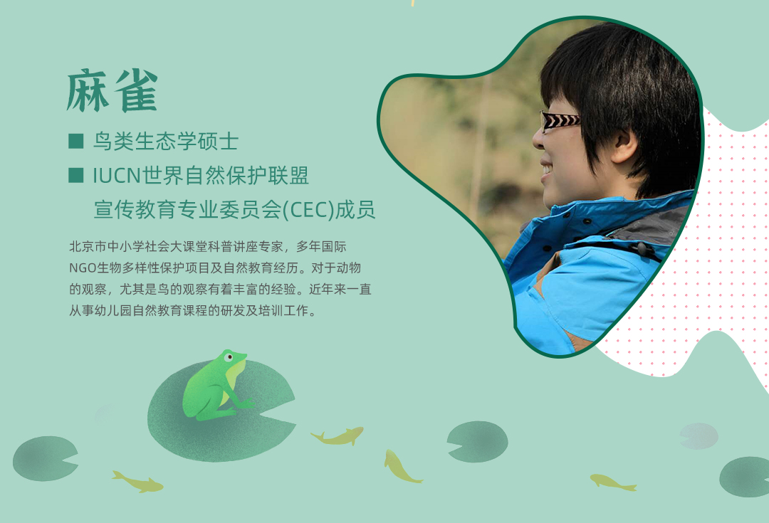 自然区角创设系列课程——初阶课程
