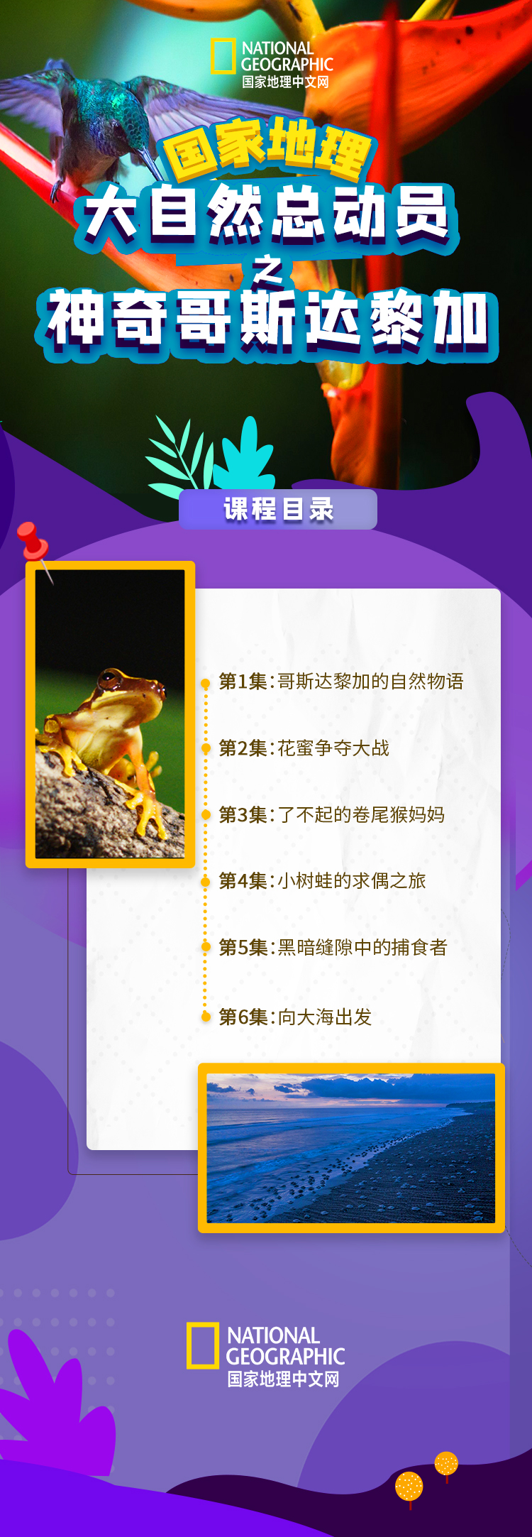 国家地理：大自然总动员之神奇哥斯达黎加